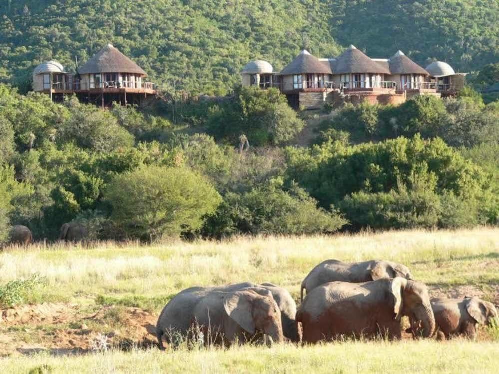 Hotel Gqeberha 3*
